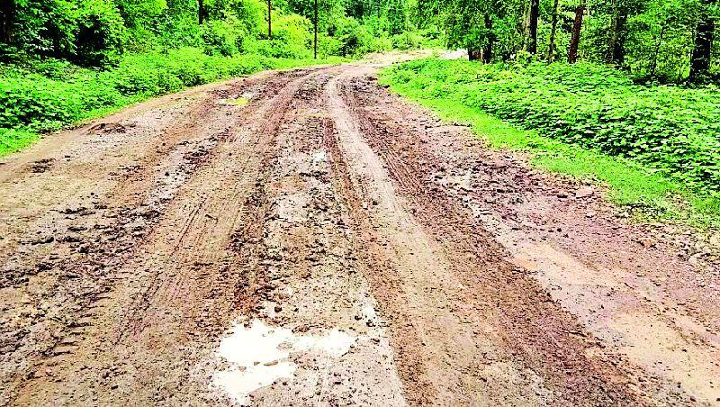 Bhamragad-Tadgaon road muddy | भामरागड-ताडगाव मार्ग चिखलमय
