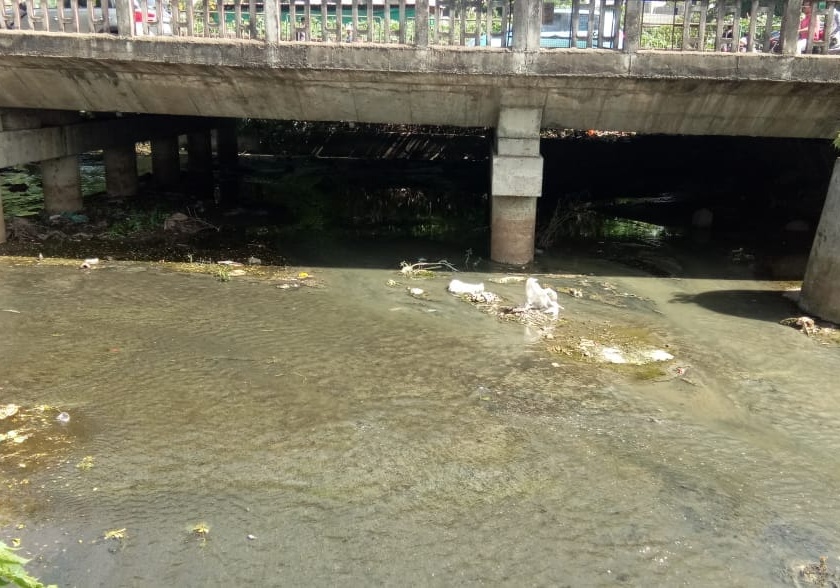 Late river on the Godavari contaminated water; Health Hazards: Neglect of Municipal Corporation | गोदावरीत लेंडी नाल्याचे दूषित पाणी; आरोग्य धोक्यात : महापालिकेचे दुर्लक्ष