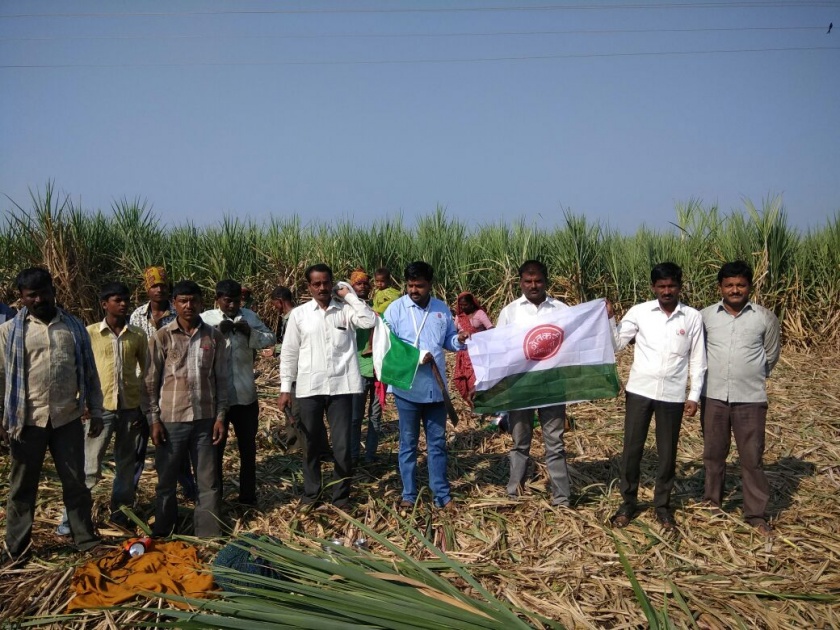 Swatantrya Farmer's Association has closed the consolidation in Satara district | सातारा जिल्ह्यात स्वाभिमानी शेतकरी संघटनेने पाडल्या ऊसतोडी बंद