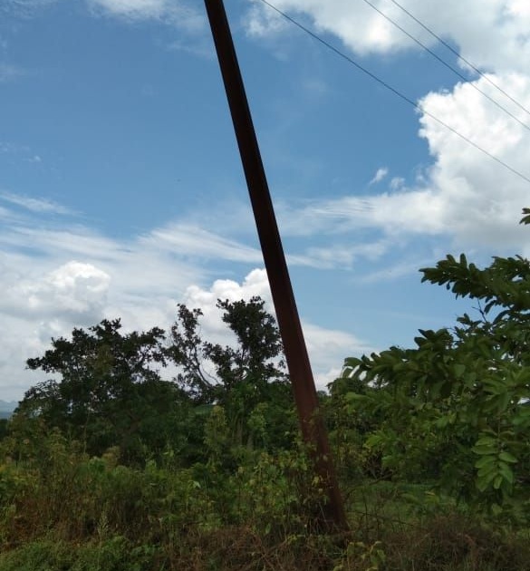 Demand for replacement of faulty power poles in Vaitarna area | वैतरणा परिसरातील खराब वीज खांब बदलण्याची मागणी