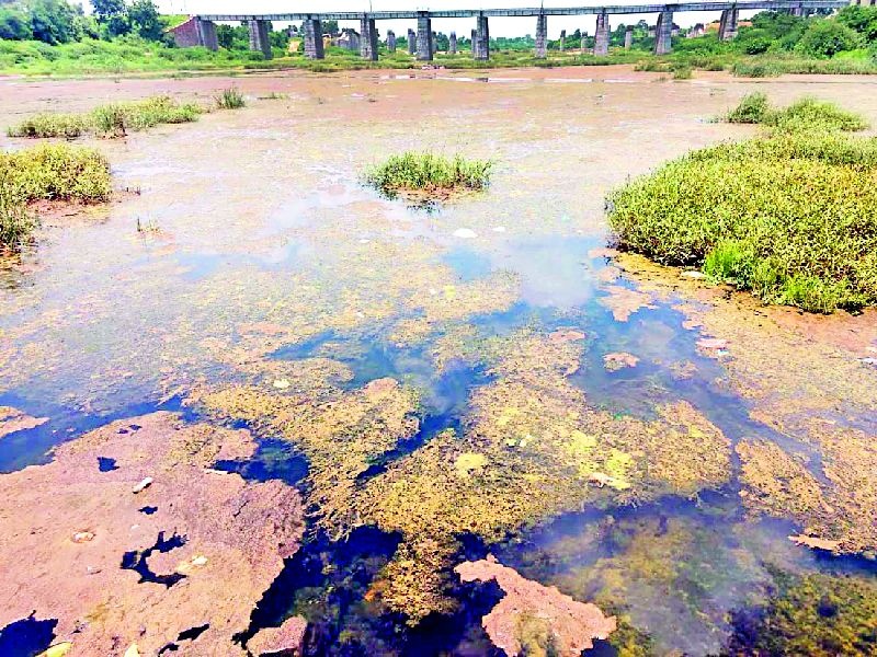 Observe the cleanliness of Wardha river | वर्धा नदीच्या स्वच्छतेकडे डोळेझाक