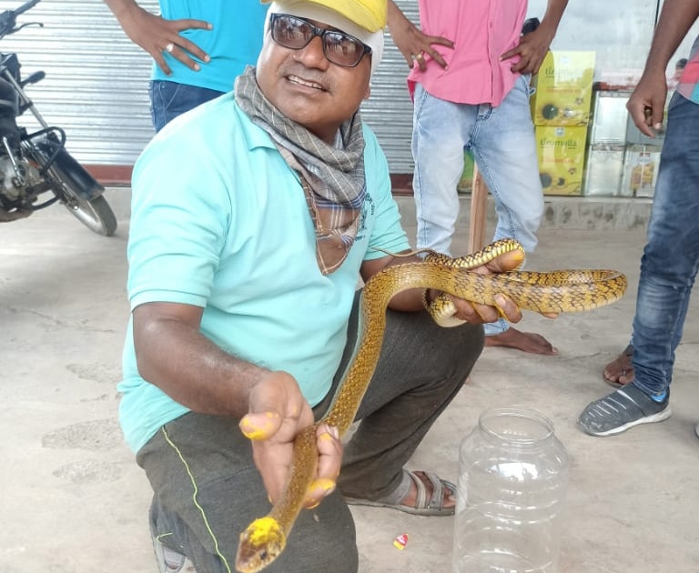 Injured snake rescued in Yeola | येवल्यात जखमी सर्पाला जीवदान