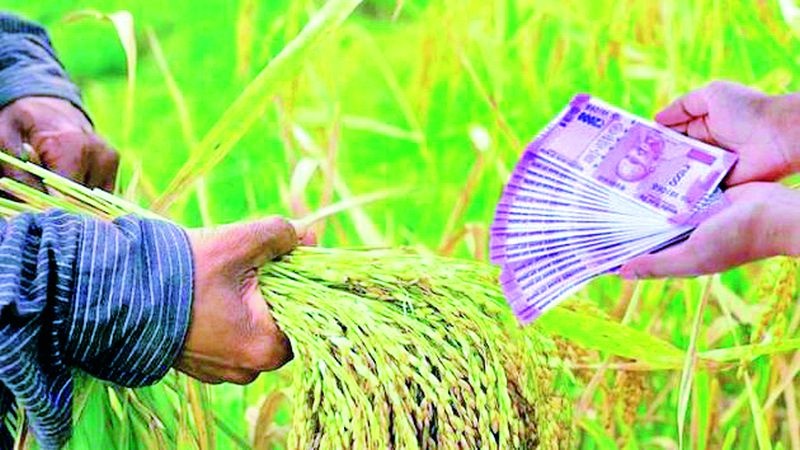 Concern of farmers in the district increased by the improved percentage | सुधारित पैसेवारीने वाढविली जिल्ह्यातील शेतकऱ्यांची चिंता