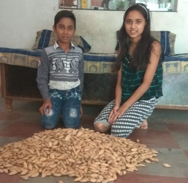 Inspirational: Ten year old children have collected two thousand seeds | प्रेरणादायी: दहा वर्षीय बालकाने केले दोन हजार बीज संकलन व रोपण