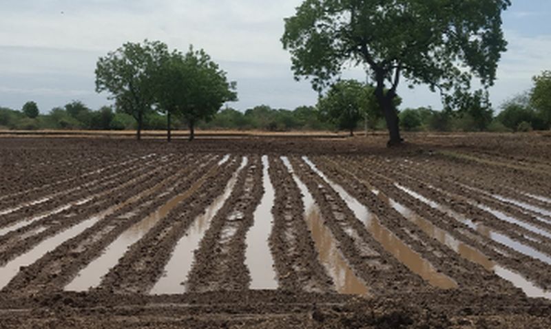 Pre-monsoon rains dried up ponds in the fields | मान्सूनपूर्व पावसाने शेतात साचले तळे