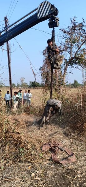 Roha rescued in the well in Amravati district after 23 hours | अमरावती जिल्ह्यात विहिरीत पडलेल्या रोह्याची २३ तासानंतर सुटका