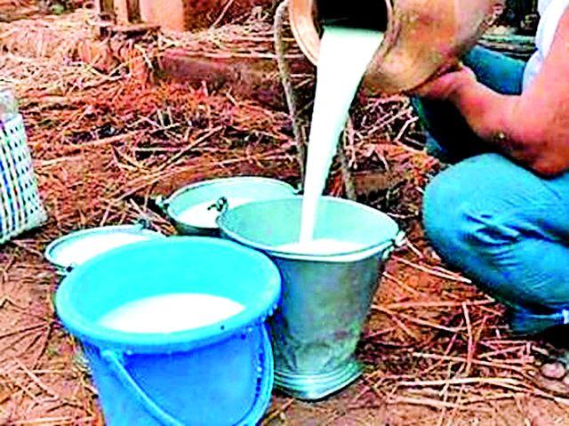 Milk is sold by adulterated in the city | दुधात भेसळ करुन केली जाते शहरात विक्री