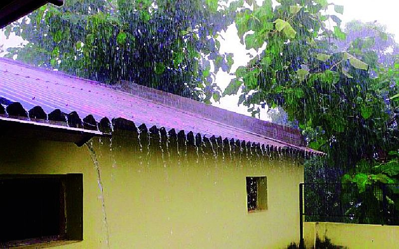 Heavy rains in the district | जिल्ह्यात मुसळधार पाऊस