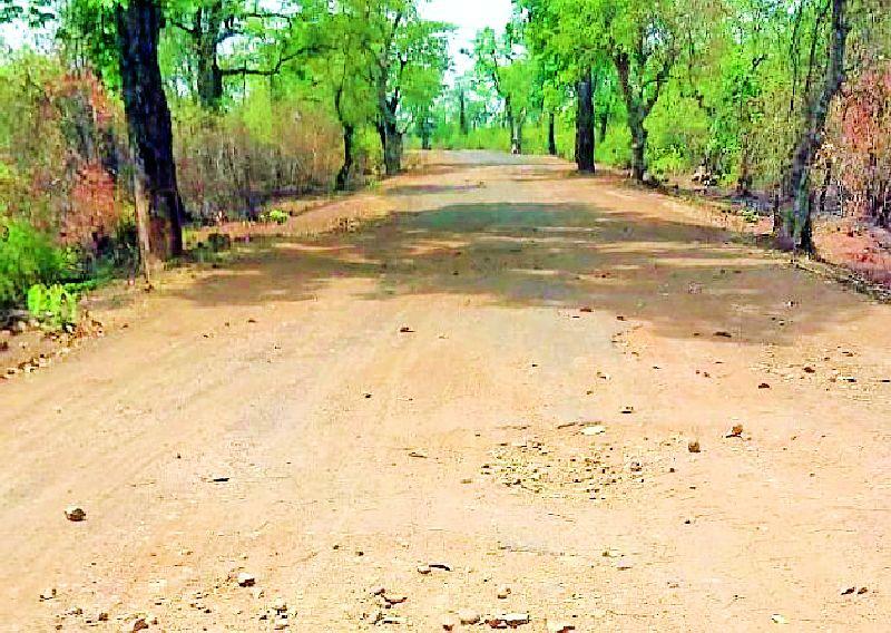 The plight of Talegaon-Rajoli road | तळेगाव-राजोली मार्गाची दुर्दशा