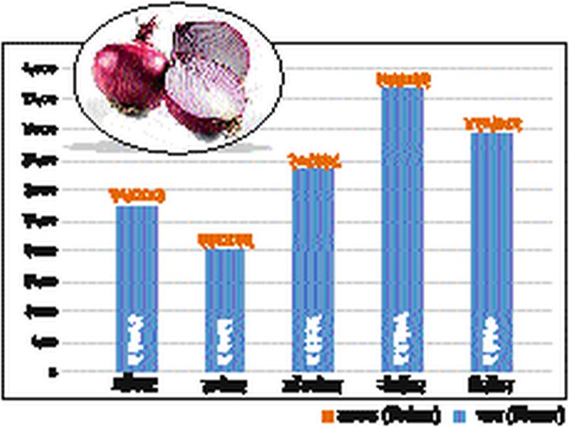 Biliraja Satisfaction: Onion in the biggest arrivals in August to December @ 3610 | बळीराजा समाधानी : आॅगस्ट ते डिसेंबर महिन्यात सर्वाधिक आवक येवल्यात कांदा @ 3610