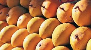 Demand for hapus mango increased | हापूस आंब्याची मागणी वाढली