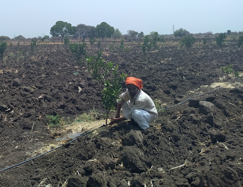 Farmers' struggle for survival of orchards | फळबागा जगवण्यासाठी शेतकऱ्यांची धडपड
