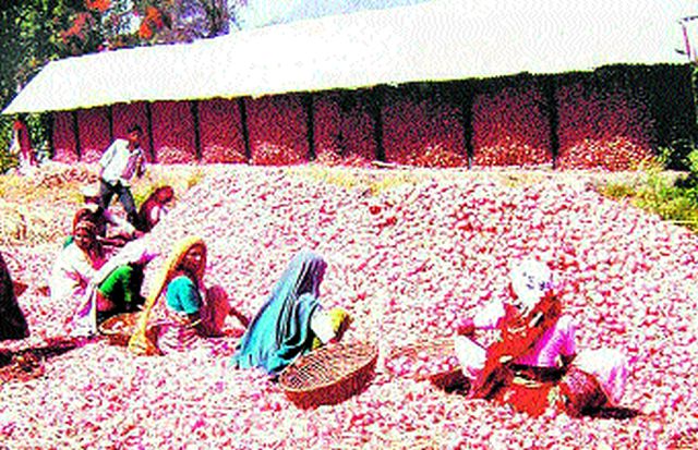 Demand for grant of onion-producing farmers | कांदा उत्पादक शेतकऱ्यांना अनुदान देण्याची मागणी