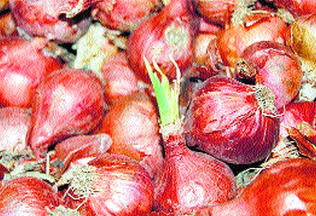 Increase grants by making pan on the onion chawls | कांदा चाळीचे पंचनामे करून अनुदान वाढवा