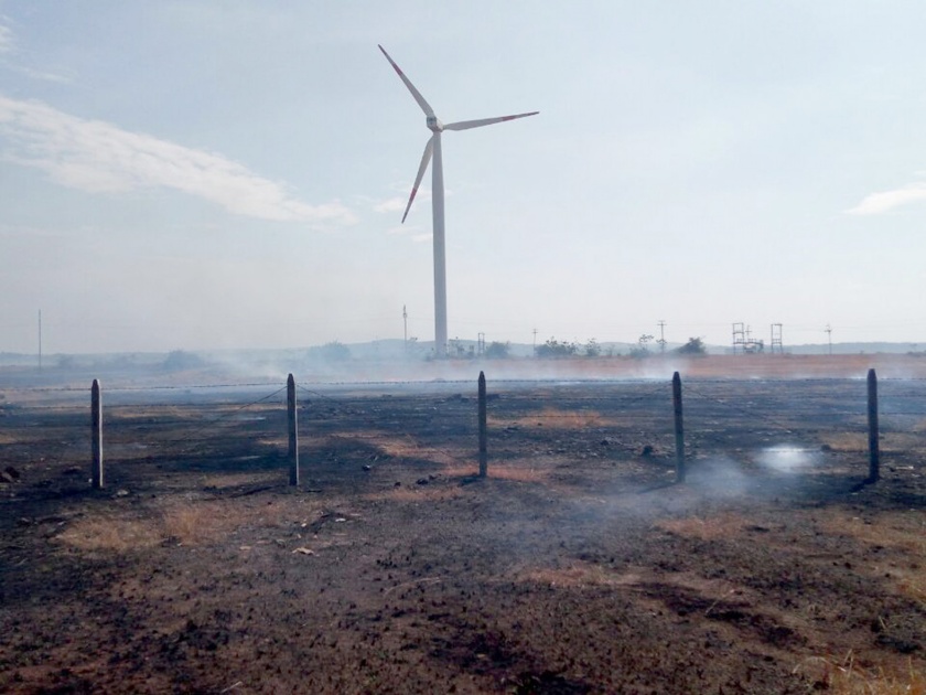 Agnathandav, 50 acres of grass burnt in Devgad Pawan Chakki area: Luckily Rescue of Kalambag | देवगड पवनचक्की परिसरात अग्नीतांडव, ५0 एकर गवत जळाले : सुदैवाने कलमबागा बचावल्या