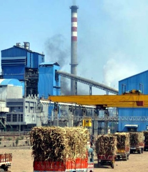 Parbhani: 27 lakh MT of sugarcane will be available | परभणी :२७ लाख मे़ टन ऊस उपलब्ध होणार