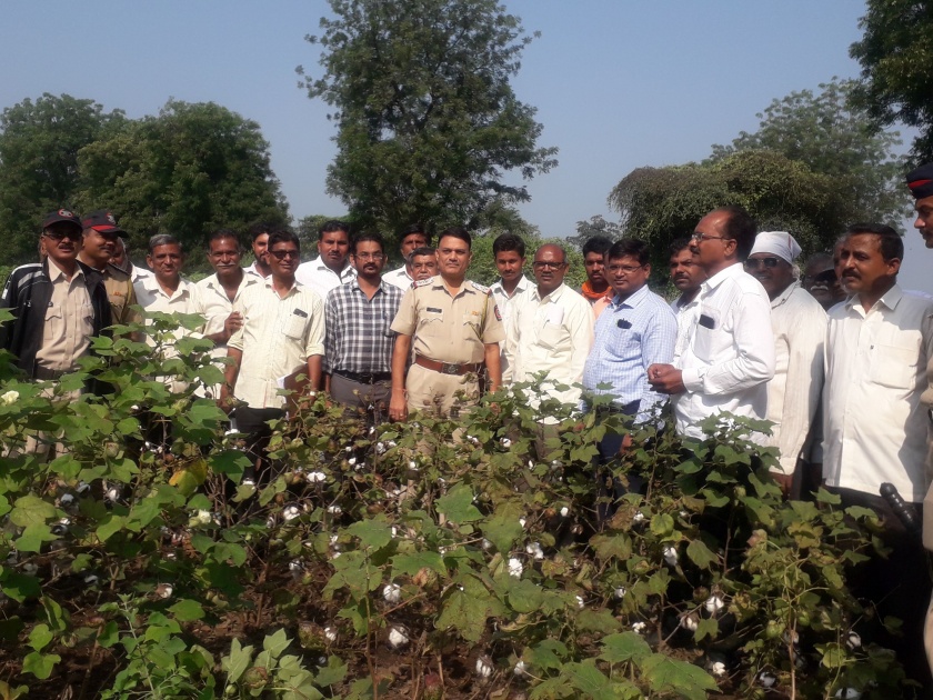Panchanam of crops in the presence of police | पोलिसांच्या उपस्थितीत पिकांचे पंचनामे