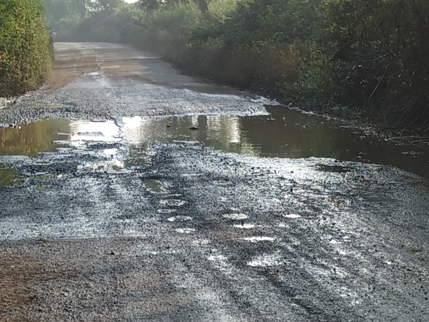 Sakora road maintenance | साकोरा रस्त्याची दुरवस्था