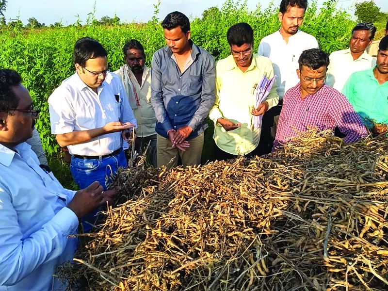 The Collector reached the field; Dialogue with farmers! | जिल्हाधिकारी पोहचले बांधावर; नुकसानग्रस्त शेतकऱ्यांशी संवाद!