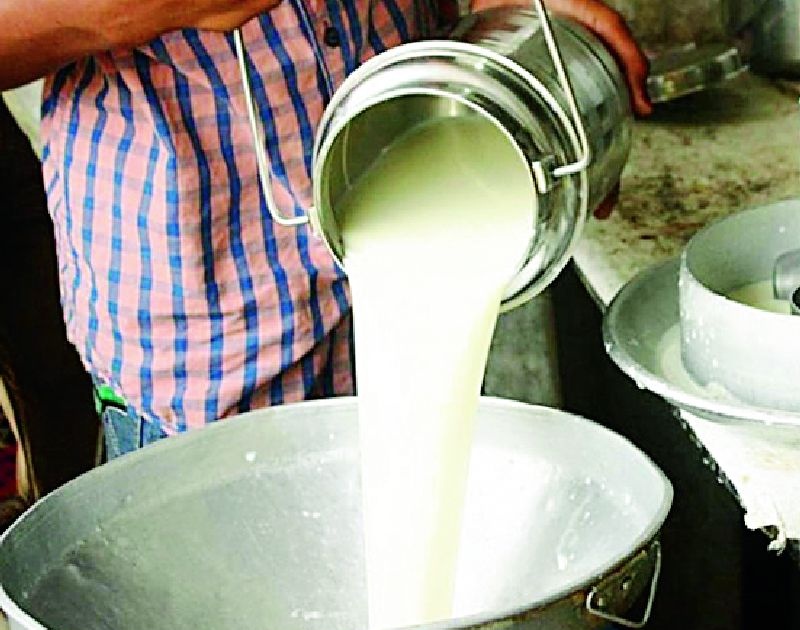 What is the criteria of the district association's milk collection? | जिल्हा संघाच्या दूध संकलनाला शासनाचे निकष का?