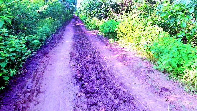 There will never be any roadway in Vishwanagar | विश्वनगर मौजातील पांदण रस्ते कधी होणार
