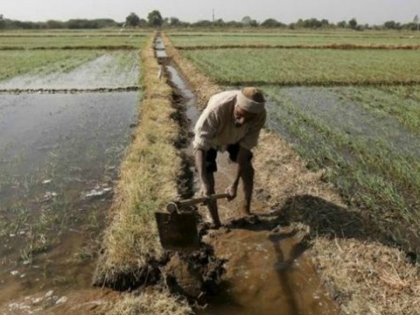 Bills of170 crore for irrigation in Vidarbha pending in Aurangabad | विदर्भातील सिंचनाची १७० कोटींची देयके औरंगाबादेत पडून