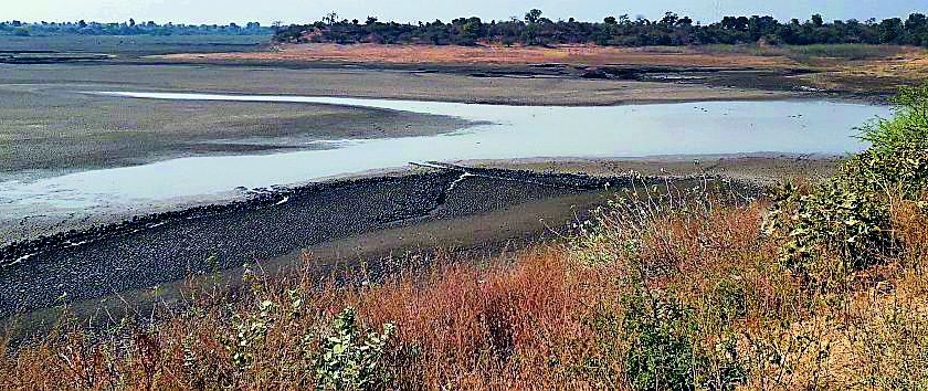 Malegaon dams 'dry' | माळेगाव धरणाला 'कोरड'