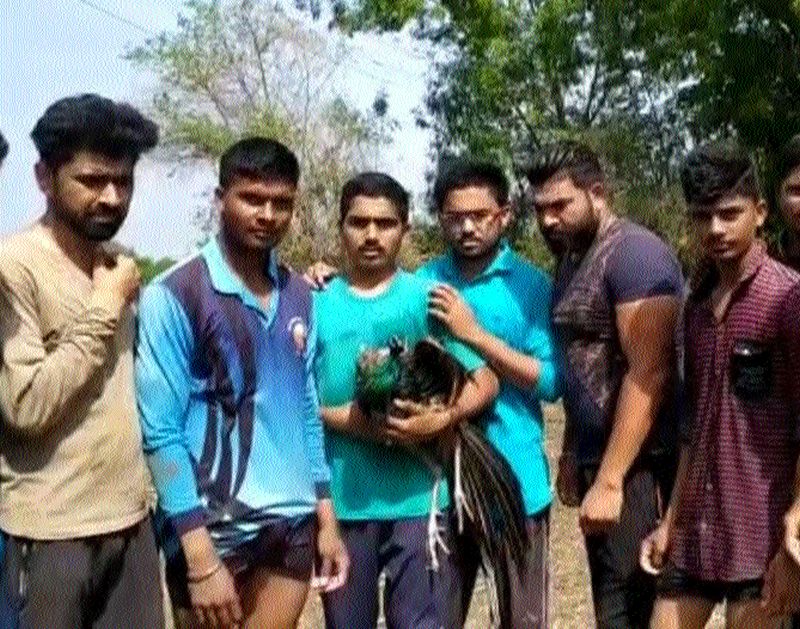 The youth saved the life of the peacock | युवकांनी वाचविले मोराचे प्राण