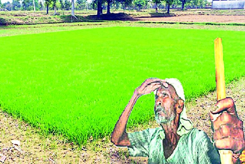 Farmer's disappointment after rabi cultivation | खरीपानंतर रब्बीकडूनही शेतकऱ्यांची निराशाच
