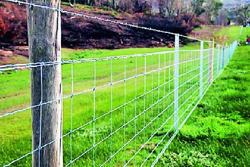 Fence mesh for forests | जंगलालगतच्या शेतांना जाळीचे कुंपण