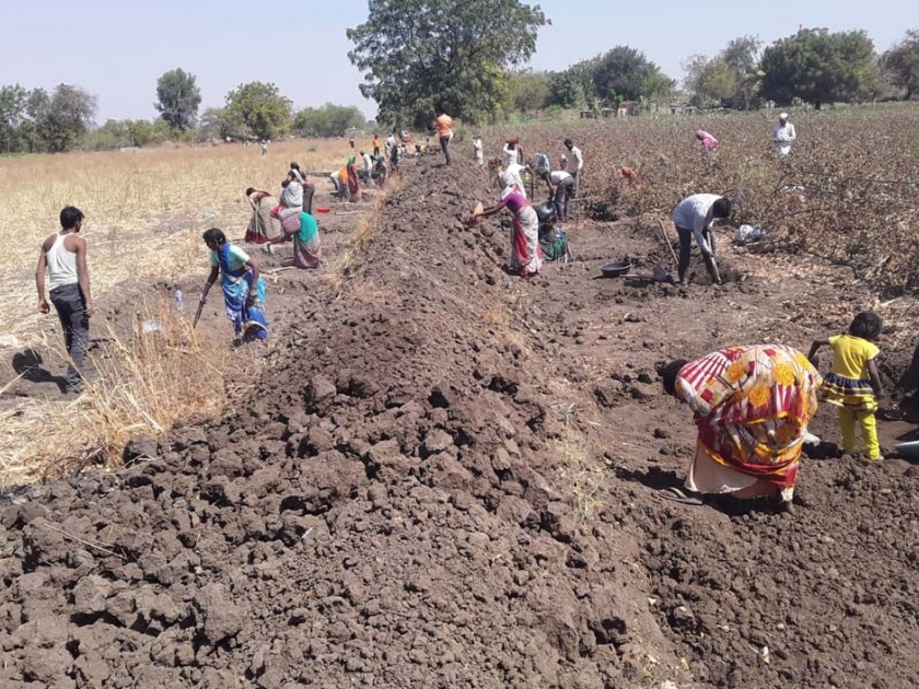Drought situation increased the number of laborers on MNREGA work | दुष्काळी परिस्थितीने मनरेगा कामावर मजुरांची संख्या वाढली