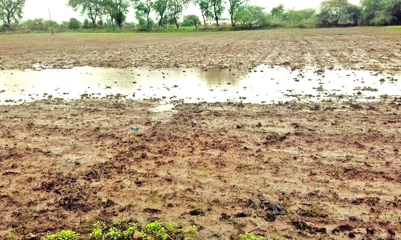 Sowing remaining in 35 percent area | ३५ टक्के क्षेत्रावर पेरणी बाकी