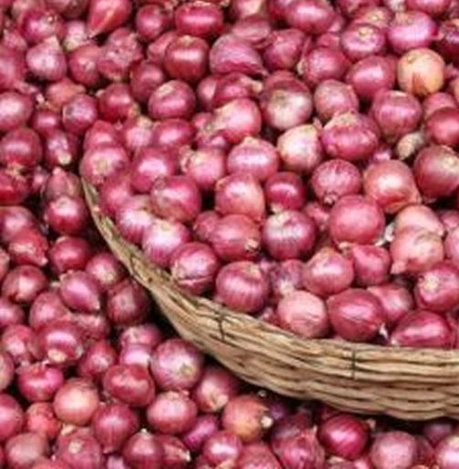 Stability in rates due to onion arrivals | कांदा आवक कमी झाल्याने दरांमध्ये स्थिरता