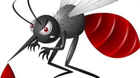 In 2020, the dengue epidemic of Corona was also defeated | २०२० मध्ये कोरोनाचा हाहाकार फोफावणाऱ्या डेंग्यूनेही पत्करली हार