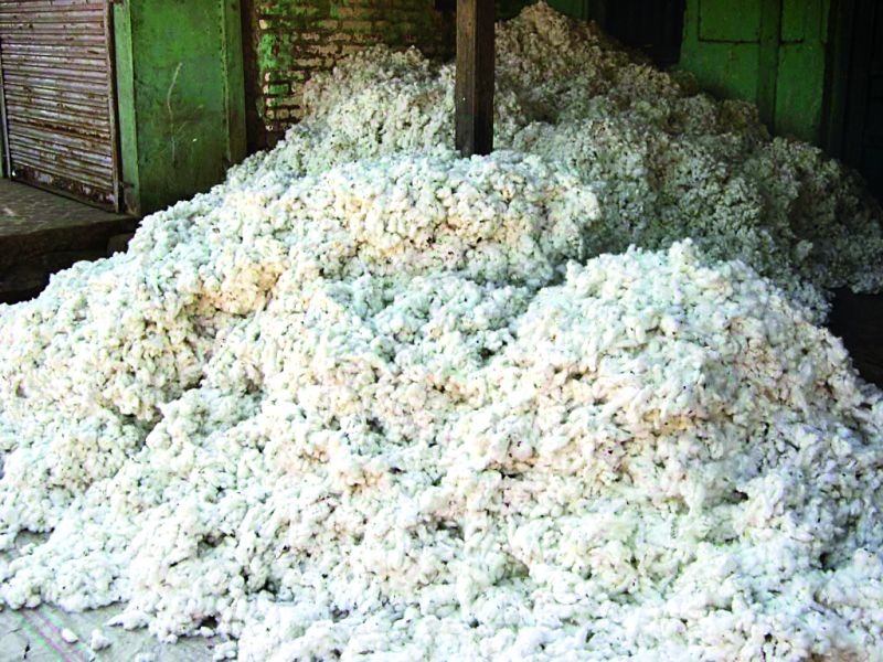 In Salshingi Shivara, four and a half quintals of cotton was made | साळशिंगी शिवारात साडेचार क्विंटल कापूस केला लंपास