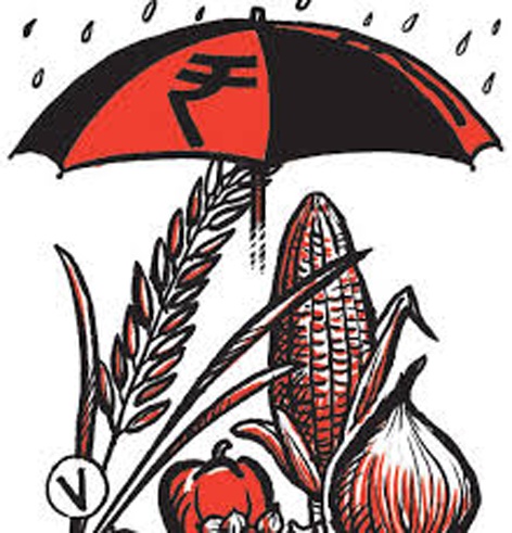 Parbhani: Farmer's big paranoia with low-income pakamima | परभणी : पीकविम्याच्या कमी रकमेने शेतकरी मोठ्या संभ्रमात