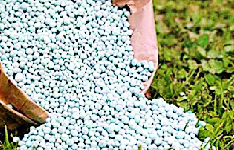 Artificial scarcity of urea, fertilizer in white | पांढरकवडात युरिया, खताची कृत्रिम टंचाई