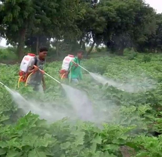 China spray pump disappears from Yavatmal market | चायना फवारणी पंप यवतमाळच्या बाजारातून गायब