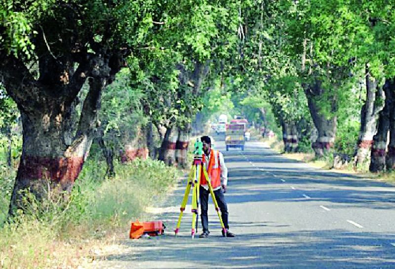 1100 trees will be broken for the road | रस्त्यासाठी ११०० वृक्ष तुटणार