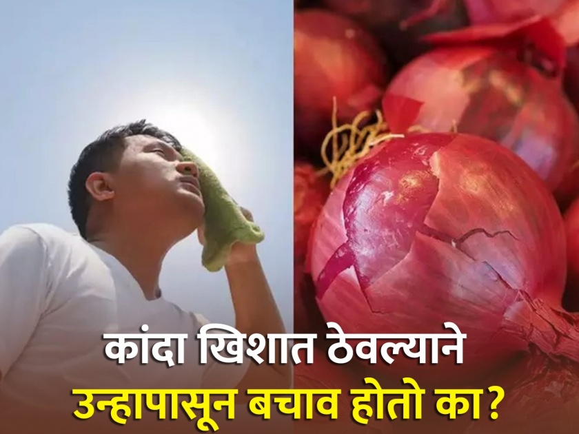 Does carrying onion in pocket saves you from heat stroke | उन्हाळ्यात खिशात कांदा ठेवून उष्माघाताचा धोका टाळता येतो? जाणून घ्या सत्य...