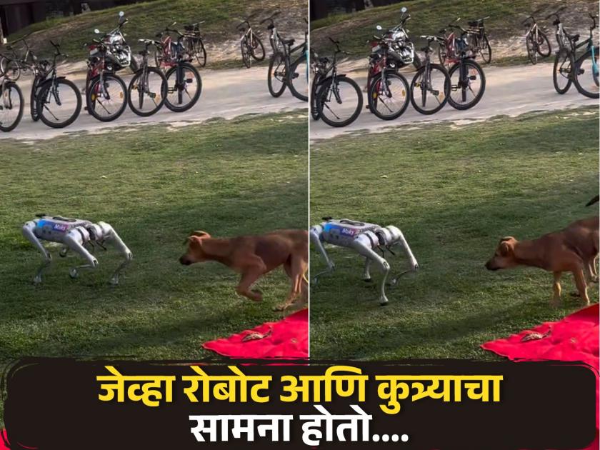 Stray dog encounters a robot dog at IIT Kanpur video goes viral | कुत्रा रोबोटसमोर आला आणि मग झालं असं काही, बघा व्हिडीओ....