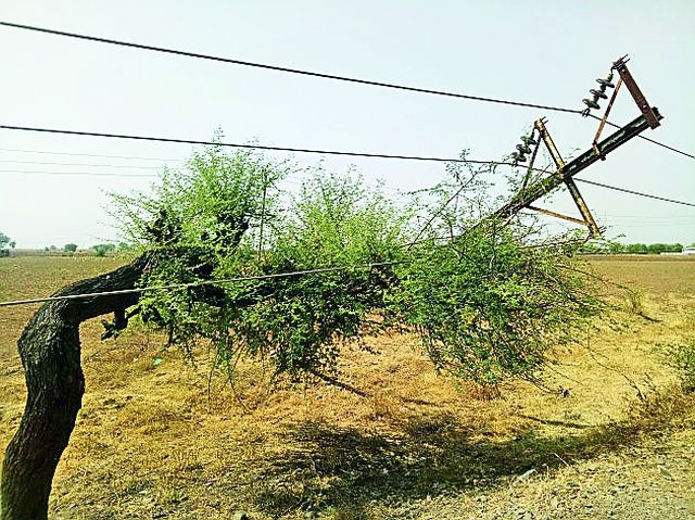 The electric poles were found in Kholapur | खोलापूरनजीक विद्युत पोल लोंबकळले
