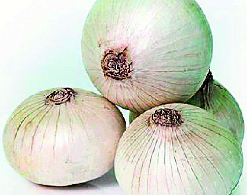 Restrictions on onion storage | कांदा साठवणुकीवर निर्बंध