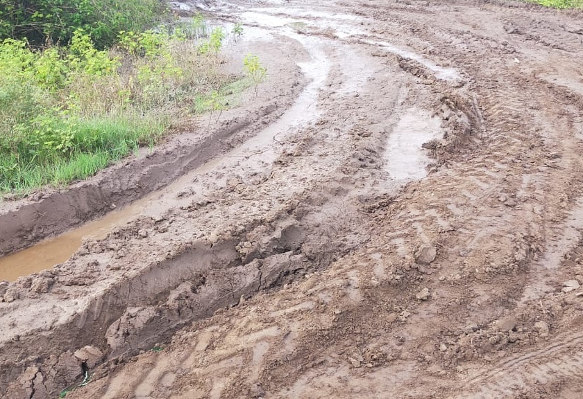 Demand for repair of Badapur-Bramhangaon road | बदापूर-ब्राम्हणगाव रस्ता दुरूस्तीची मागणी