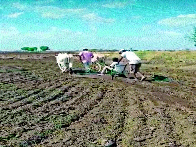 Almost beginning of kharif, agricultural fields flourished | खरिपाची लगबग सुरू, शेती शिवार फुलले
