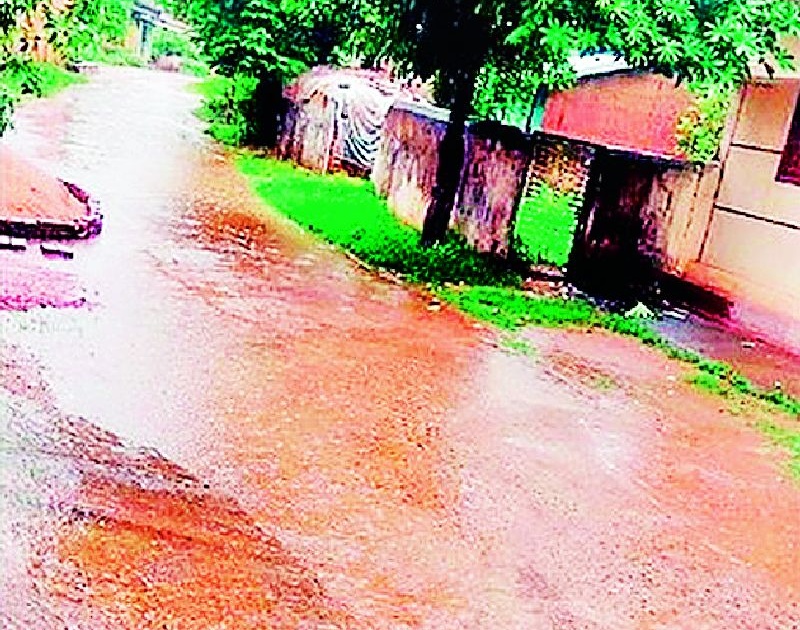 The arrival of rain brought relief to Baliraja | पावसाच्या आगमनाने बळीराजाला दिलासा
