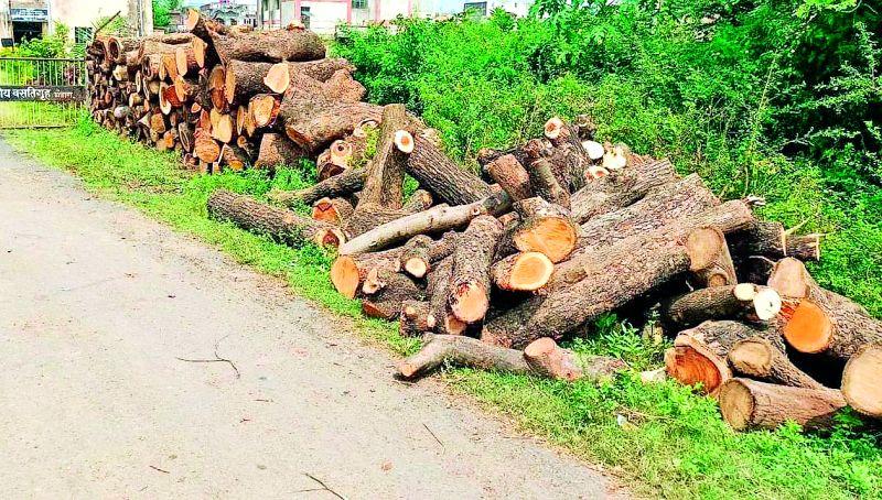 Permission granted 27, tree cut 57 | परवानगी मिळाली 27 ची, वृक्ष कापले 57