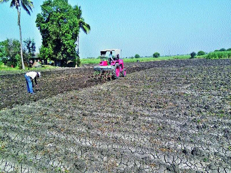 Wheat sowing speed in the Chandori area | चांदोरी परिसरात गहू पेरणीला वेग