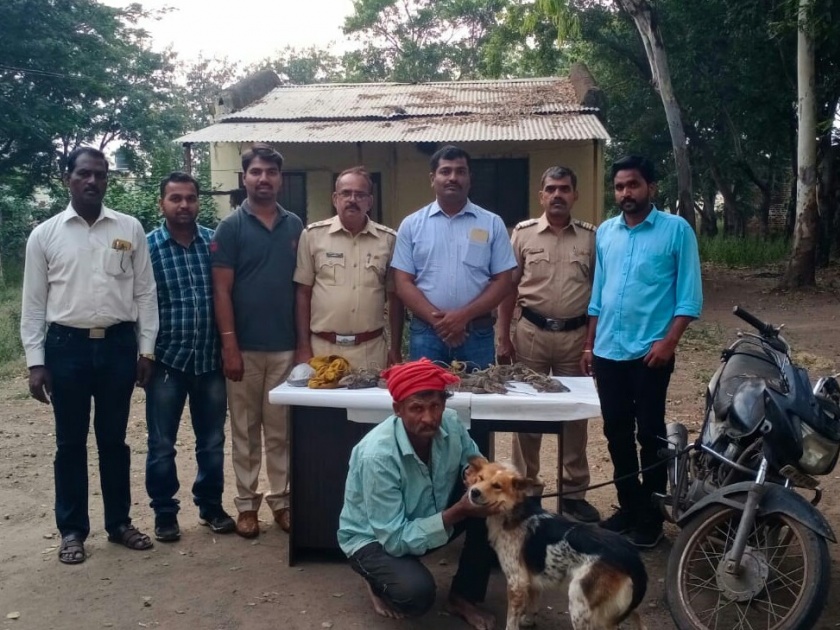 Police arrest 3 hunter-gatherers at Vathar | वाठार येथे १३ घोरपडीसह शिकारी पोलिसांच्या ताब्यात