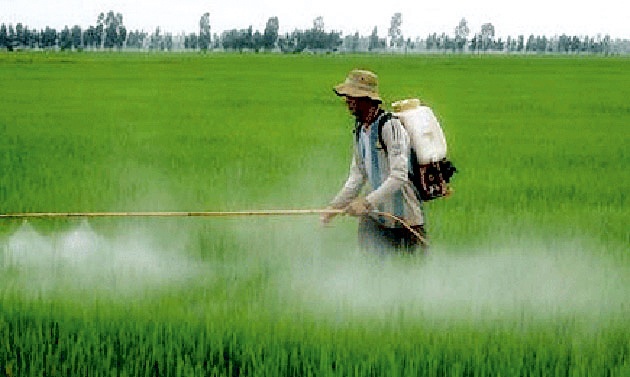 Be careful about farmers' insecticides | शेतकºयांनो कीटनाशका बाबत काळजी घ्या
